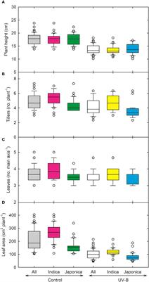 Impact of ultraviolet-B radiation on early-season morpho-physiological traits of indica and japonica rice genotypes